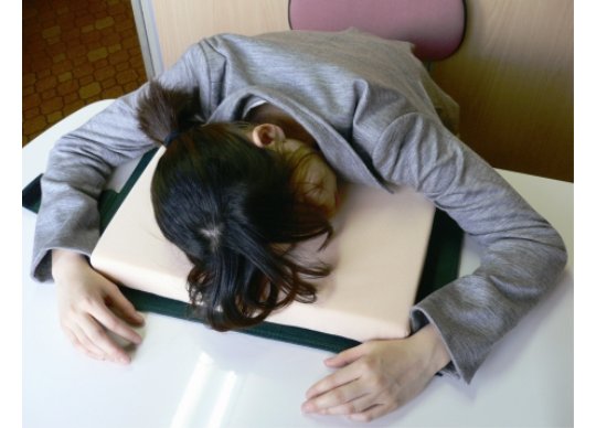 Dictionary Desk Pillow - Sleep at work on open book - Japan Trend Shop