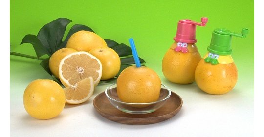 Takara Tomy Gurefuru Chuchu - Trinken Sie Orangensaft direkt aus der Frucht - Japan Trend Shop