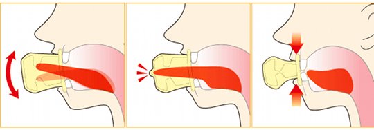 Kuwaete Sukkiri Tongue Exerciser - Anti-flab muscle mouthpiece, fight sagging cheeks - Japan Trend Shop