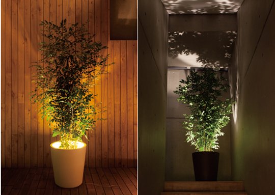 Forestarium Lamp - Flower plant pot LED light - Japan Trend Shop