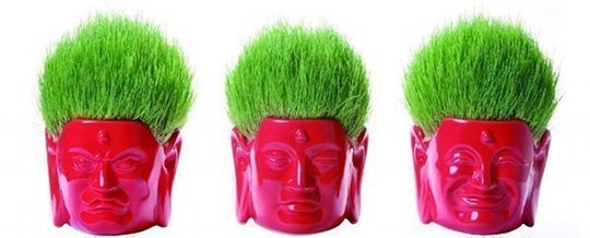 Buddha Hair Salon Flower Pot - Buddhist head home gardening set - Japan Trend Shop