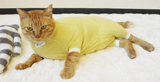Egree Cat Pajama Suit - Pet protective clothes - Japan Trend Shop