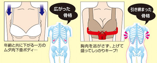 Mima Bra Supporter - Bust lifter - Japan Trend Shop