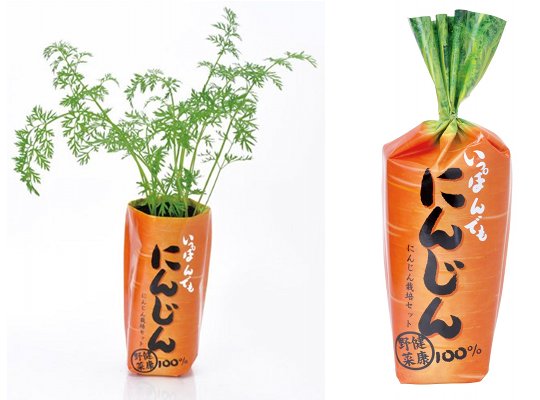 Ippon Demo Ninjin Carrot - Home farming vegetable growing set - Japan Trend Shop