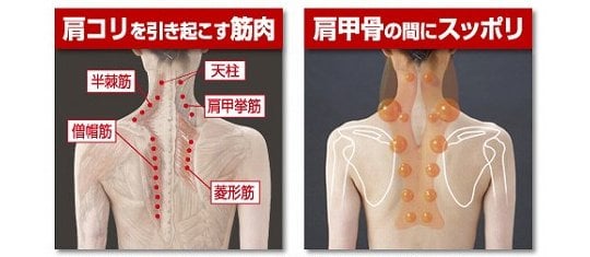 Sukkiri Pillow Neck and Shoulder Massager - Back spine pain relief physio - Japan Trend Shop