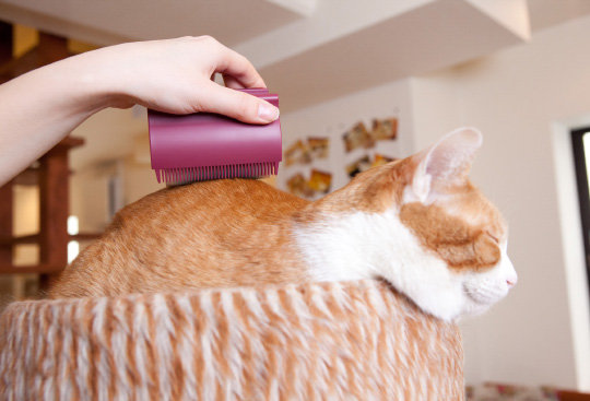 Oppo Groomo Cat Brush - Pet grooming hair comb - Japan Trend Shop