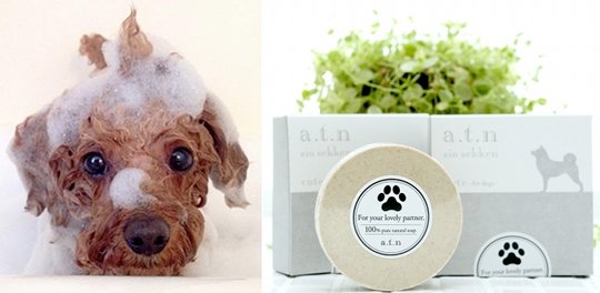 Solar Salt Soap for Dog - Haircare 100% natural coat wash for pet - Japan Trend Shop