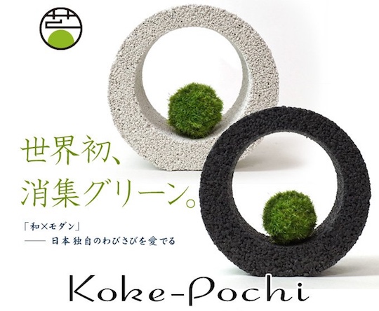 Eco Pochi Kokedama Moss Ball Ring - Bamboo charcoal volanic ash plant sculpture - Japan Trend Shop