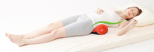 Zehi Hot Water Bottle Cushion - Body posture protector - Japan Trend Shop