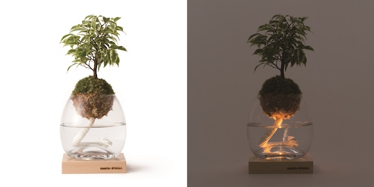 Torch Plant Light Botanical Candle - Ornamental foliage lamp - Japan Trend Shop