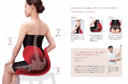Body Make Seat Style Posture Chair - Spine improvement support cushion - Japan Trend Shop