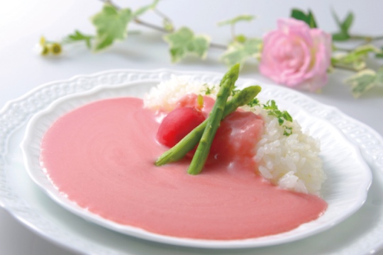 Tottori Yamanote Story Hana Kifujin Pink Curry - Regional beetroot flavor roux - Japan Trend Shop