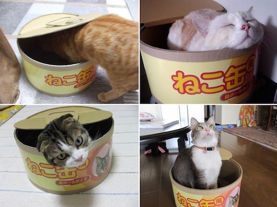 Cat Can Scratcher - Pet house, scratching pad - Japan Trend Shop