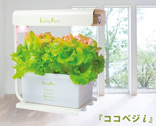 Living Farm Coco Veggie i Hydroponic Grow Box - Vegetable, herb cultivating unit - Japan Trend Shop