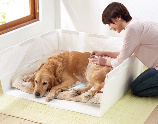 Peppy Indoor Dog Potty - Home toilet for older dogs - Japan Trend Shop