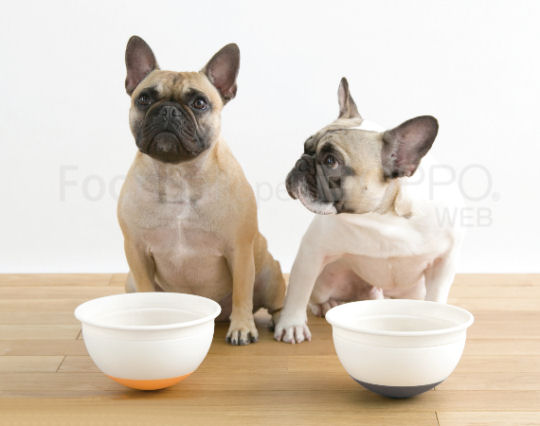 Oppo Food Ball Open for Dogs - Designer pet meal feeder - Japan Trend Shop