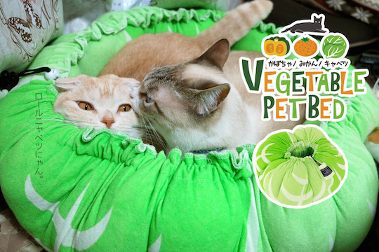 Vegetable Pet Bed - Food-themed cat, dog furniture - Japan Trend Shop