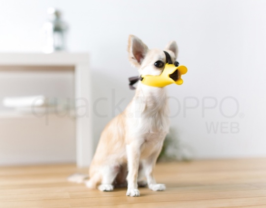 Oppo Dog Muzzle Quack Super Small