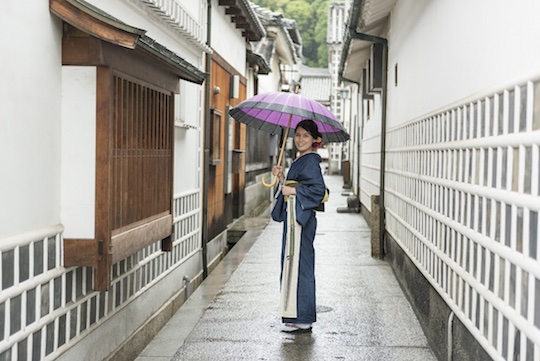 Touken Kasakaban Samurai Sword Sheath Umbrella Bag - Canvas holder for umbrella - Japan Trend Shop