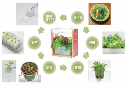 Living Farm Coco Veggie tn Hydroponic Grow Box - Home vegetable, herb cultivating unit - Japan Trend Shop