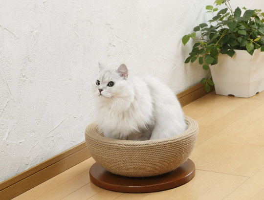 Bonbi Arkon Cat Scratching Bowl Pad - Pet nesting, scratcher toy - Japan Trend Shop