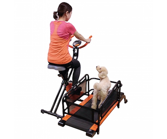 Doggy Health Run Pet Owner Exercise Treadmill - Workout machine for animals - Japan Trend Shop