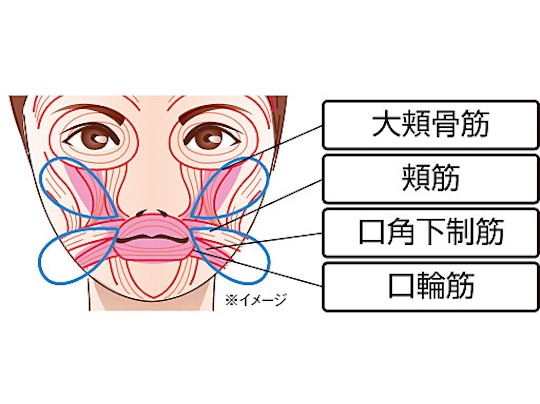 Small Face Slimmer Wings Exerciser - Cheeks, mouth slimming mouthpiece - Japan Trend Shop