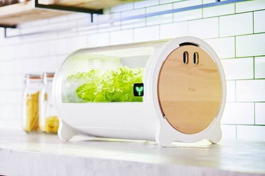 foop Lite Hydroponic Grow Box - Internet of Things vegetable, herb cultivating unit - Japan Trend Shop