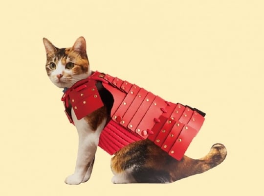 Armor Suits For Your Cat