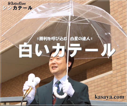 Shinkateel Japanese Politician Election Campaign Umbrella - Used by Shinzo Abe, Emperor of Japan - Japan Trend Shop