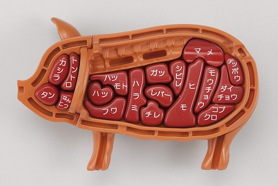 3D Pig Dissection Puzzle - Learn about pork and pig body - Japan Trend Shop