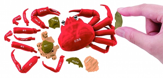 3D Japanese Snow Crab Dissection Puzzle - Realistic cuisine education toy - Japan Trend Shop