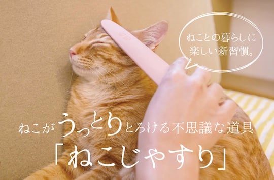 Neko-jasuri Cat Groomer - Pet fur brush in metal file design - Japan Trend Shop