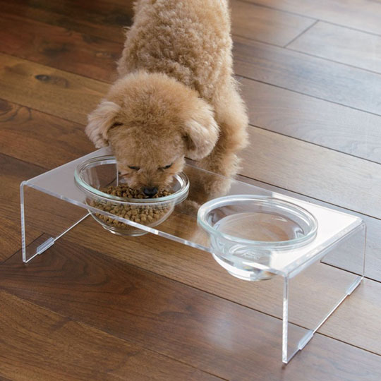 Acrylic Pet Food Table - Stylish feeder for small cats, dogs - Japan Trend Shop