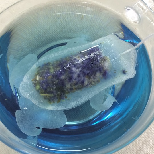 Butterfly Pea Mint Frog Tea Bags - Blue-color natural tea - Japan Trend Shop