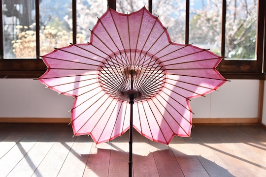 Sakura Wagasa Cherry Blossom Japanese Parasol - Beautiful handmade crafted parsol for hanami - Japan Trend Shop