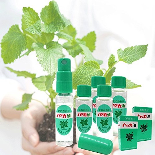 Japanese Peppermint Essential Oils Value Pack