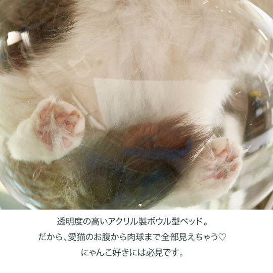 Clear Capsule Cat Cylinder - Cylindrical pet nest furniture - Japan Trend Shop