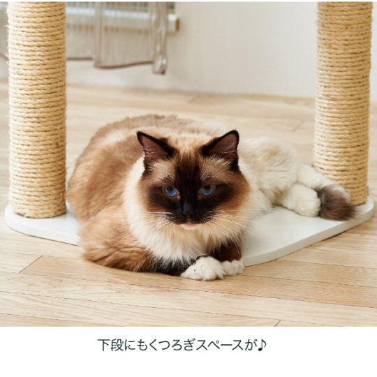 Clear Capsule Cat Scratching Post - Table-shaped pet nest and scratch tower - Japan Trend Shop