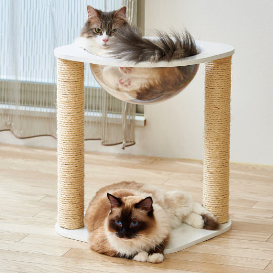 Clear Capsule Cat Scratching Post - Table-shaped pet nest and scratch tower - Japan Trend Shop