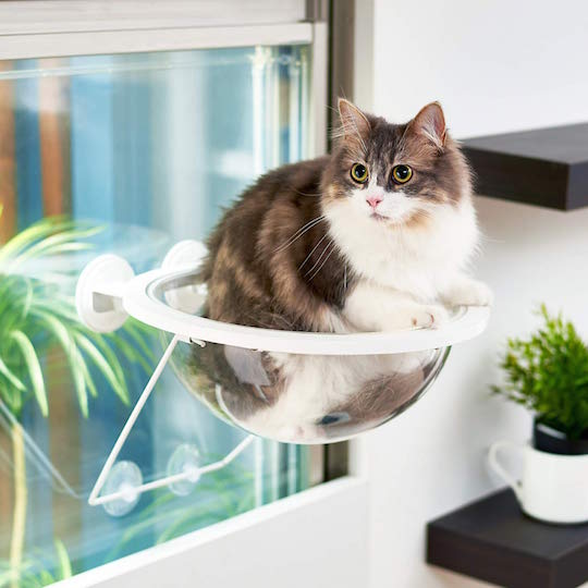 Clear Capsule Planet Window Cat Bed - Dome-shaped pet nest - Japan Trend Shop