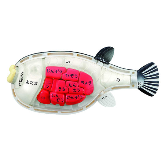 3D Fugu Japanese Blowfish Dissection Puzzle - Poisonous fish assembly game - Japan Trend Shop