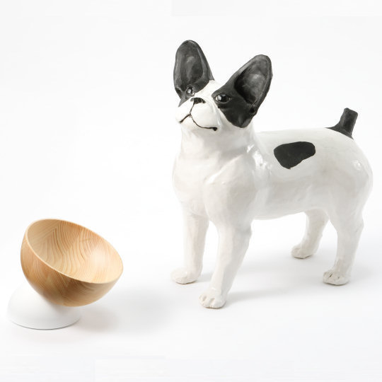aiueo CASA moon Pet Food Bowl - Variable angle dog and cat feeding cup - Japan Trend Shop