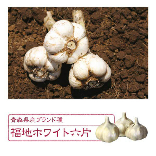 Suntory Black Vinegar Garlic - Aminoacid-rich food supplement - Japan Trend Shop