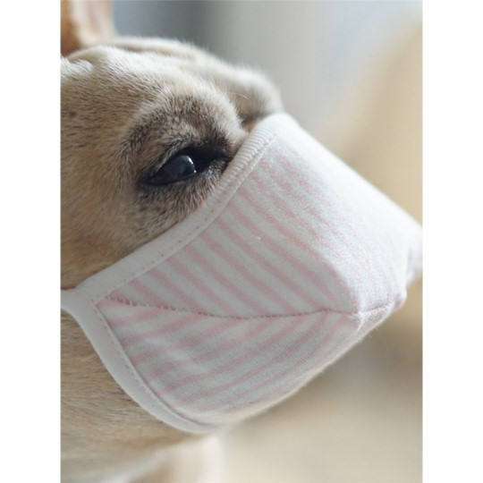 Wan-chan Dog Face Mask - Bacterial facial protection for canines - Japan Trend Shop