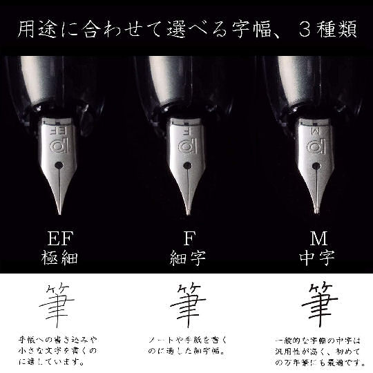 Platinum Curidas Retractable Fountain Pen - Easy-to-use ink pen - Japan Trend Shop