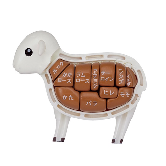 3D Sheep Dissection Puzzle - Animal parts assembly toy - Japan Trend Shop