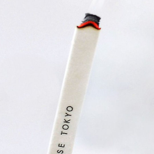 Blackcurrant Scent Paper Incense - Slow-burning paper room fragrance - Japan Trend Shop