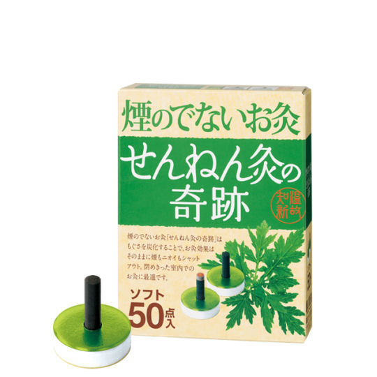 Sennen Moxibustion Lower Back Set - Traditional Asian medicine pain relief method - Japan Trend Shop