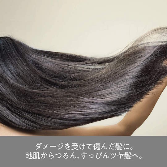 Hair Recipe Wanomi Rice Oil Shampoo & Treatment Set - Natural beauty hair care product - Japan Trend Shop